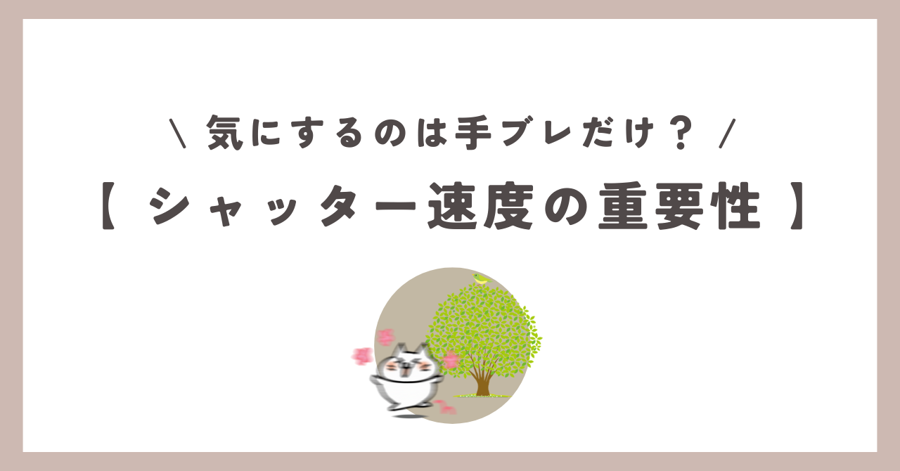 シャッタースピードについて